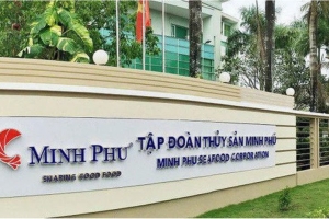 Thuỷ sản Minh Phú báo lãi 415 tỷ đồng sau nửa đầu năm 2026, dòng tiền tiếp tục âm