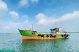 TP.HCM: Phát hiện tàu vận chuyển 50.000 lít dầu DO không rõ nguồn gốc