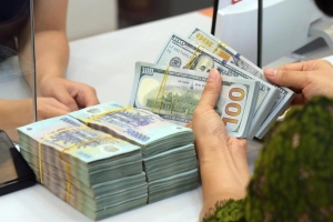 Tỷ giá USD hôm nay 8/8: Đồng bạc xanh suy yếu