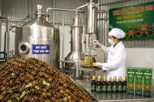 Lạng Sơn phát triển chuỗi liên kết, nâng giá trị nông lâm nghiệp
