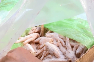 Hải Phòng: Phát hiện 1,25 tấn chân gà đông lạnh không rõ nguồn gốc