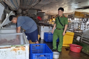 Hưng Yên: Thu giữ 150kg thịt chó không rõ nguồn gốc xuất xứ tại xã Diên Hà