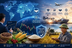 Mở đường cho thị trường phái sinh hàng hóa hiện đại