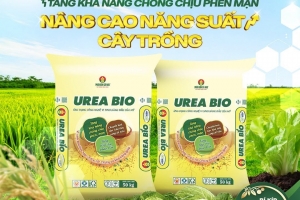 Urea Bio Cà Mau – Giải pháp dinh dưỡng giúp cây trồng thích ứng phèn, mặn