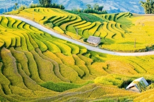 Lễ hội mùa Thu năm 2026 với chủ đề “Y Tý - Sức hút đại ngàn” diễn ra từ ngày 22/8 đến 15/11