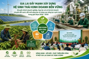 Gia Lai mở đường để doanh nghiệp bước sâu hơn vào thị trường quốc tế