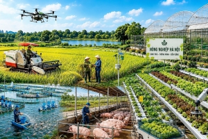 Hà Nội nâng giá trị nông sản từ những vùng sản xuất tập trung