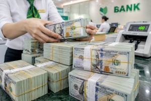 Tỷ giá USD hôm nay 12/8: Ổn định