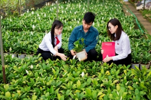 Agribank góp phần chuyển đổi nền nông nghiệp theo hướng xanh, hiện đại