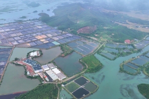 Quảng Ninh đề xuất bổ sung 8 dự án điện mặt trời vào Điều chỉnh Quy hoạch điện VIII