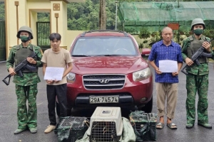 Cao Bằng: Bắt giữ 2 đối tượng vận chuyển trái phép động vật hoang dã