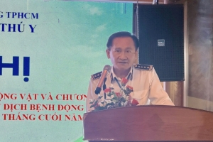 TP.HCM phấn đấu xây dựng thêm 15-20 xã, phường an toàn dịch bệnh mỗi năm