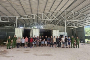 Quảng Ninh: Khởi tố vụ án, khởi tố 18 bị can về tội buôn lậu, vận chuyển trái phép hàng hóa qua biên giới