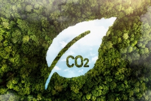 Sau 2 tháng thử nghiệm, thị trường tín chỉ carbon Việt Nam có 92 doanh nghiệp tham gia