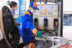 Tinh gọn, tăng hiệu quả, minh bạch hệ thống phân phối xăng dầu