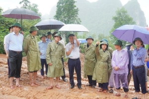 Quảng Trị: Khẩn trương xử lý khu vực nguy cơ cao sạt lở đồi Phòng Không