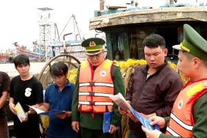 Ninh Bình mở đợt cao điểm, quyết liệt khắc phục tồn tại trong chống khai thác IUU