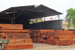 Hà Nội giao gần 4,9ha đất cho Vinadic làm chợ gỗ Vân Hà