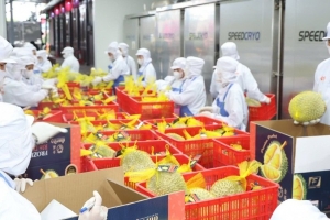 Xuất khẩu rau quả tăng tốc, mở rộng dư địa chinh phục mốc 10 tỷ USD