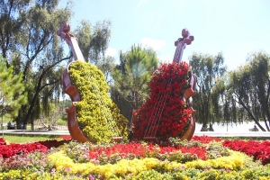 Lâm Đồng: Đẩy mạnh quảng bá Festival Hoa Đà Lạt lần thứ XI trên đa nền tảng