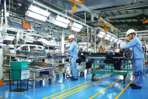 8 tháng đầu năm 2026: Gần 138 nghìn doanh nghiệp thành lập mới, vốn đăng ký tăng mạnh 36,2%