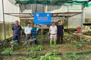 Sơn La mở hướng phát triển dược liệu giá trị cao