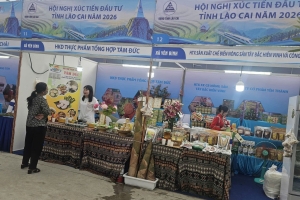 8 tháng, Lào Cai có thêm 1.156 doanh nghiệp và 100 hợp tác xã