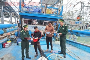 Quảng Trị chống IUU: Từ quy định đến hiệu quả thực thi