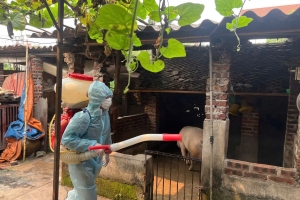 Bắc Ninh triển khai Tháng tổng vệ sinh, khử trùng, tiêu độc môi trường và tiêm phòng đàn vật nuôi