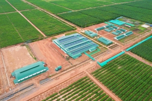 3 Công ty thuộc KLH Koun Mom đạt chứng nhận GLOBALG.A.P. IFA v6 GFS và hoàn thành đánh giá GRASP v2.0