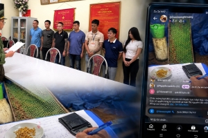 Sơn La: Khởi tố 7 bị can lừa đảo hơn 1 tỷ đồng qua thủ đoạn livestream "đãi cát tìm vàng"