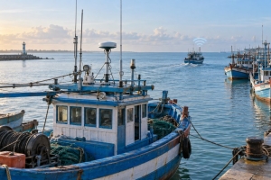 Đồng Tháp siết quản lý IUU từ cảng cá đến ngư trường