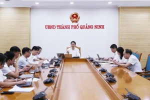 Quảng Ninh: Đánh giá công tác triển khai các nghị quyết của HĐND thành phố