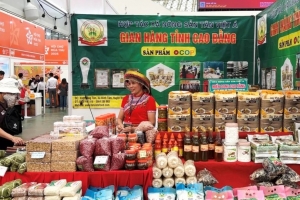 Khi thương hiệu trở thành tài sản của Cao Bằng