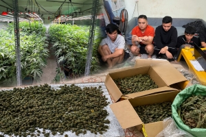 Triệt phá đường dây bán cần sa qua mạng quy mô lớn tại Hưng Yên, khởi tố hàng loạt bị can