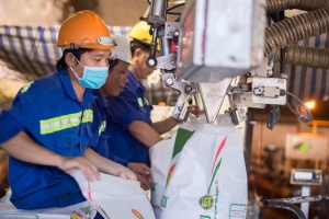 Cổ phiếu đáng chú ý ngày 16/9: Dòng tiền hướng vào phân bón, lọc hóa dầu
