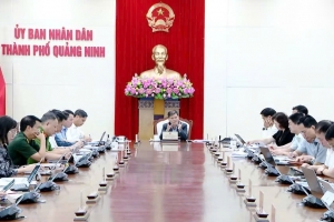 UBND thành phố Quảng Ninh cho ý kiến báo cáo tiền khả thi nhiều dự án trọng điểm