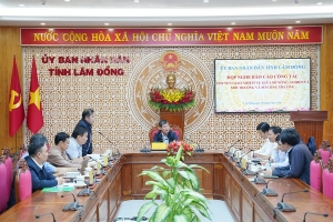 Lâm Đồng chuẩn bị chuyển quản lý địa chất, khoáng sản về Sở Công Thương