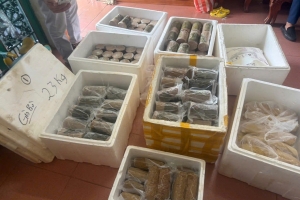 Khởi tố vụ án cơ sở sản xuất giò, chả sử dụng hàn the, thu giữ gần 200 kg thực phẩm