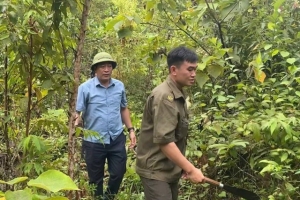 Mở tuyến đường tạm, khẩn trương tiếp cận hơn 1.100 người dân bị cô lập ở Nghệ An