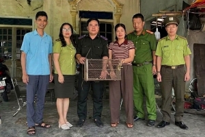 Hà Tĩnh: Tiếp nhận cá thể trăn đất quý hiếm do người dân tự nguyện giao nộp