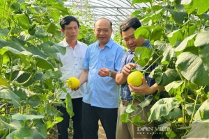 Nghị định 156: Mở thêm cơ hội tiếp cận vốn cho người dân, hộ kinh doanh, trang trại và hợp tác xã
