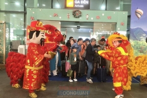 Gia Lai: Mỗi chuyến bay charter quốc tế đến Cảng hàng không Phù Cát được hỗ trợ 200 triệu đồng