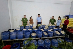 Quảng Ninh: Xử lý hơn 620 vụ gian lận thương mại, thu giữ tang vật hơn 36 tỷ đồng
