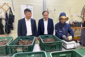 474 lao động người Lào Cai đi làm việc ở nước ngoài trong quý III/2026