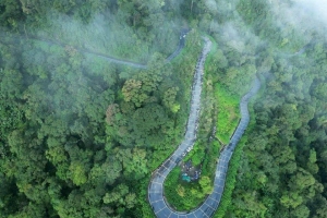Hà Nội thúc tiến độ Safari Ba Vì, phấn đấu khởi công dịp 10/10