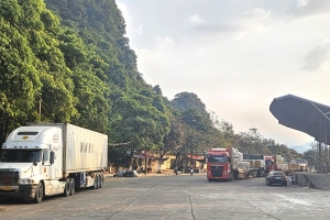 Hải quan Cốc Nam đạt nhiều kết quả tích cực trong công tác thu ngân sách nhà nước