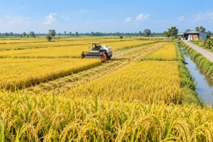 Đồng Tháp thí điểm chuyển đổi 10 hợp tác xã theo mô hình 90 ngày
