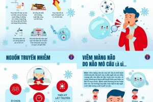 Bắc Ninh: Tăng cường phòng, chống cúm, não mô cầu và các bệnh lây truyền qua đường hô hấp