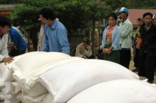 Hỗ trợ gạo cho công tác bảo vệ rừng